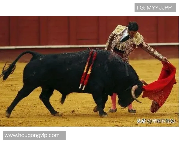 你不知道的公牛:十大冷知识大揭秘 你不知道的公牛:十大冷知识大揭秘